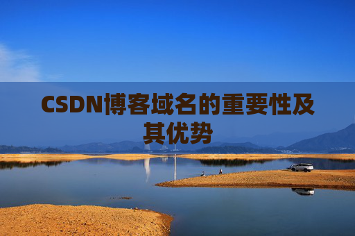 CSDN博客域名的重要性及其优势